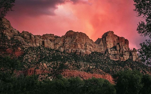 A beautiful cotton candy sunset, in Zion National Park.
